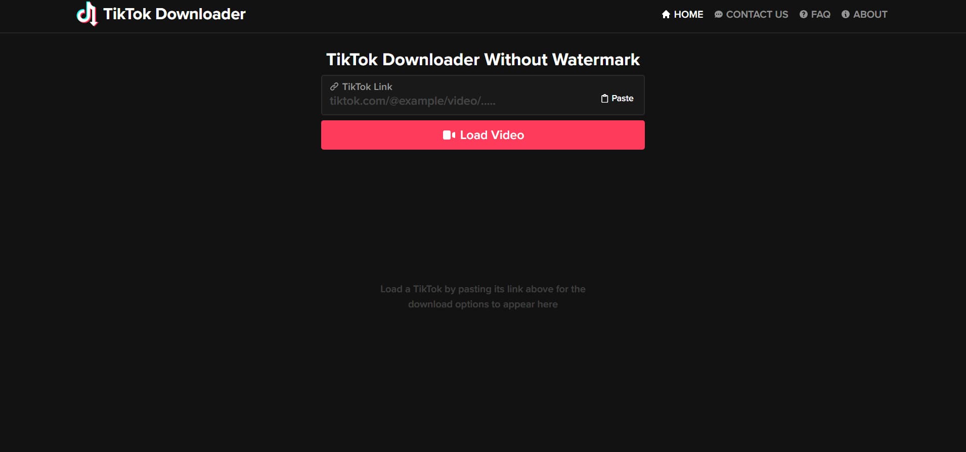 TikTok Downloader interface
