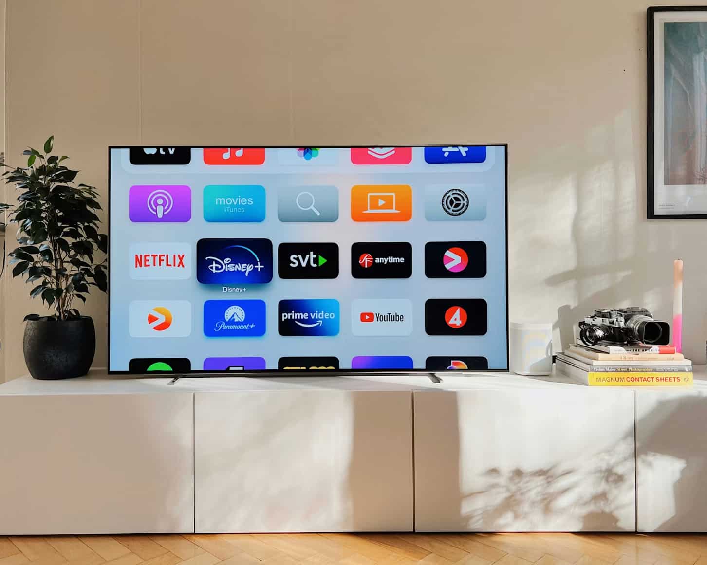 Home entertainment 