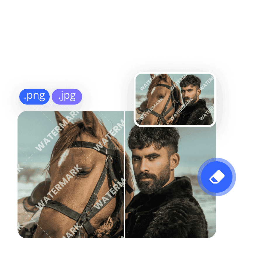 Batch Edit & Rapid Export