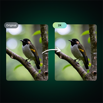 Enhance Image Quality with 2K/1080p