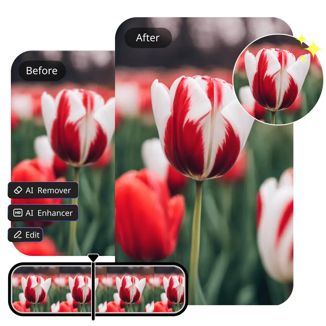 Non-Destructive Subtitle Removal
