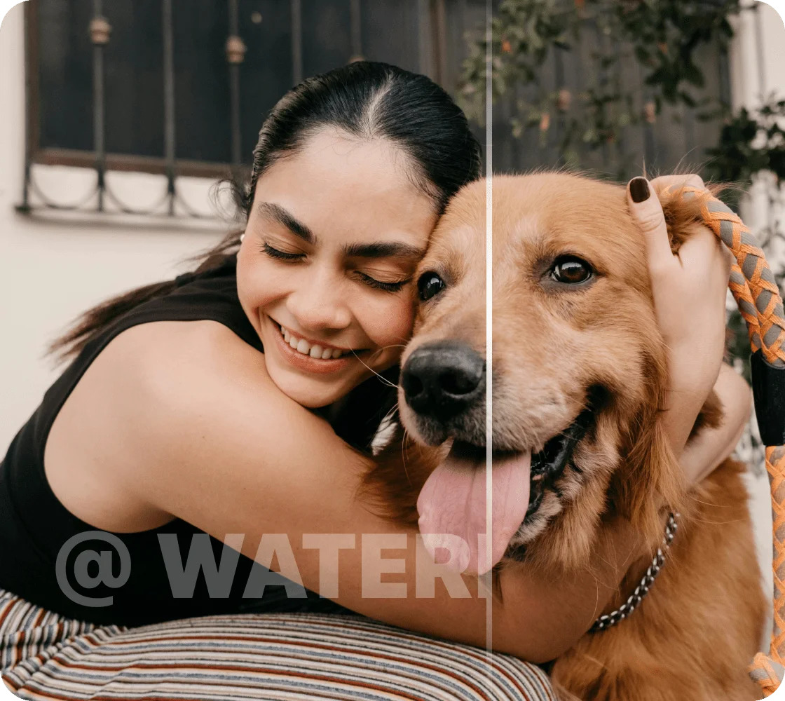 Online AI Video Watermark Remover