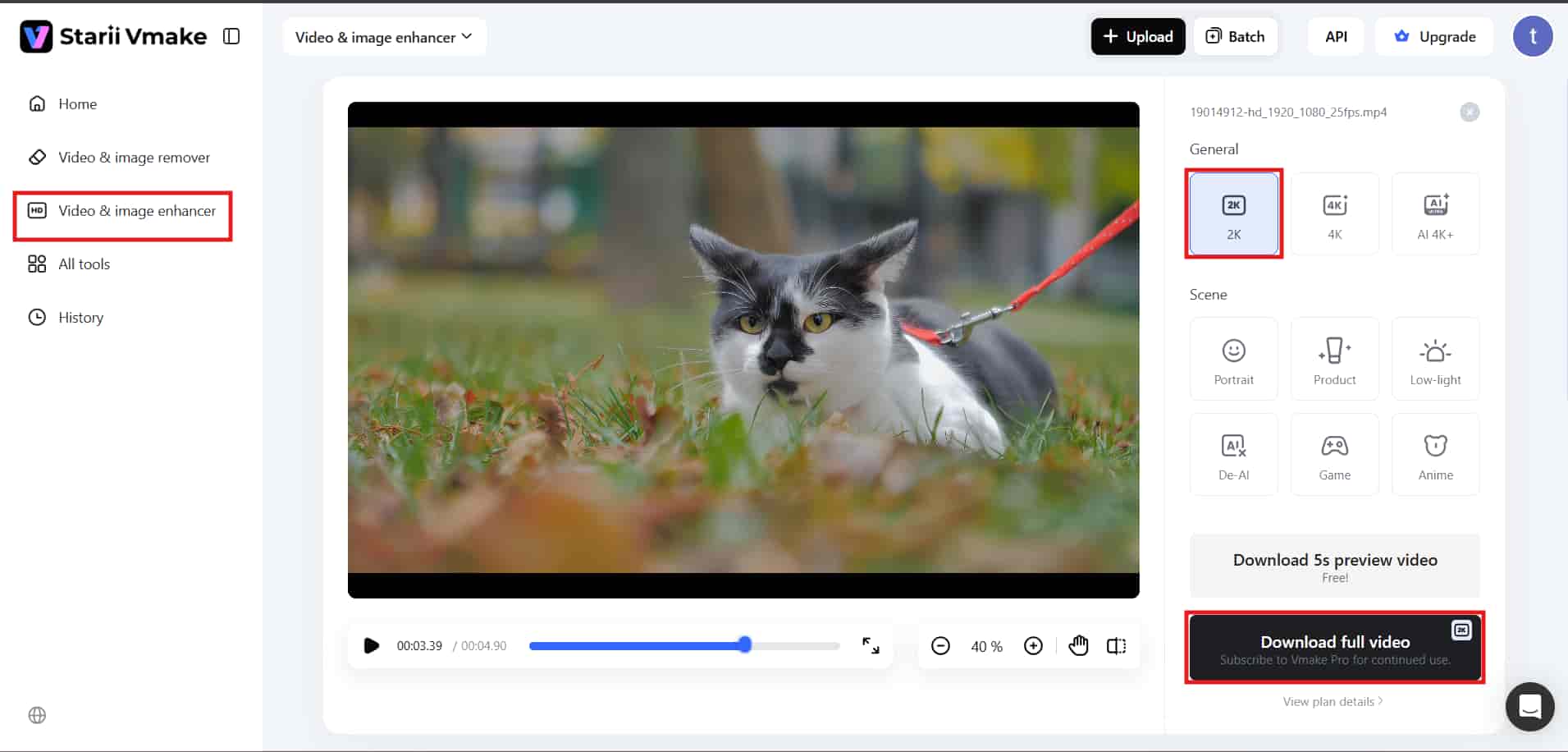Previewing and downloading the enhanced video.