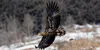 Steady zoomed-in footage more effectively