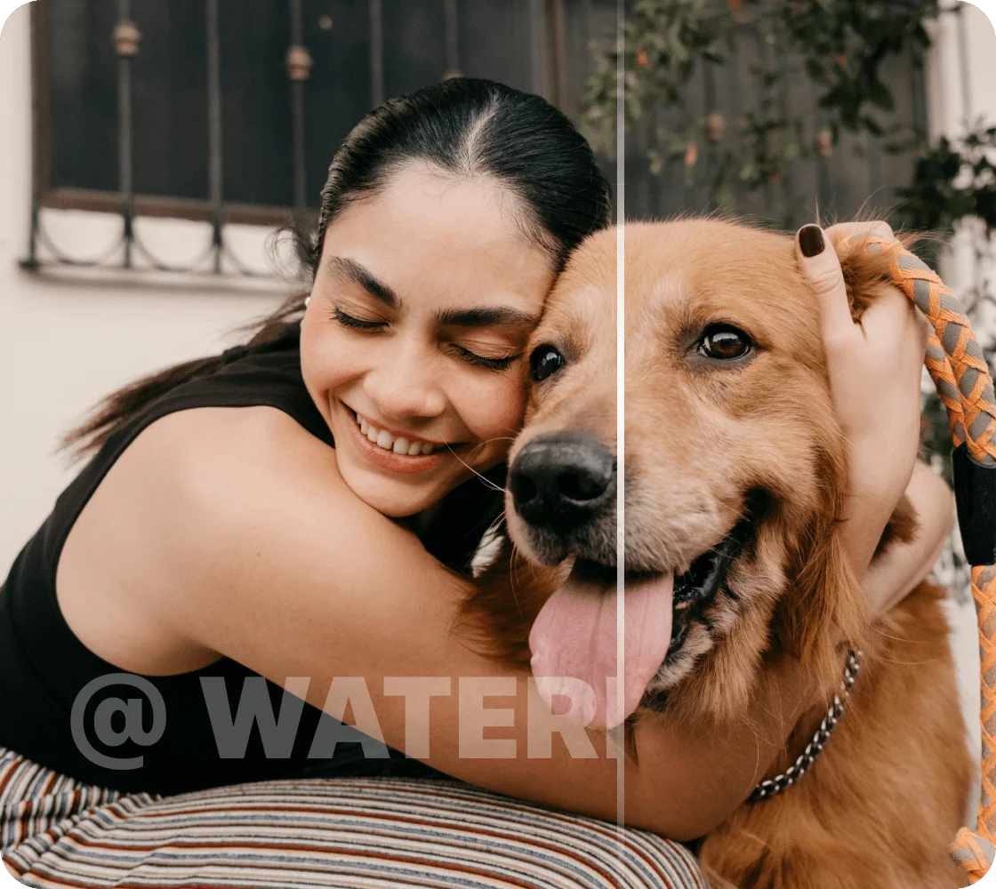 vmake watermark remover