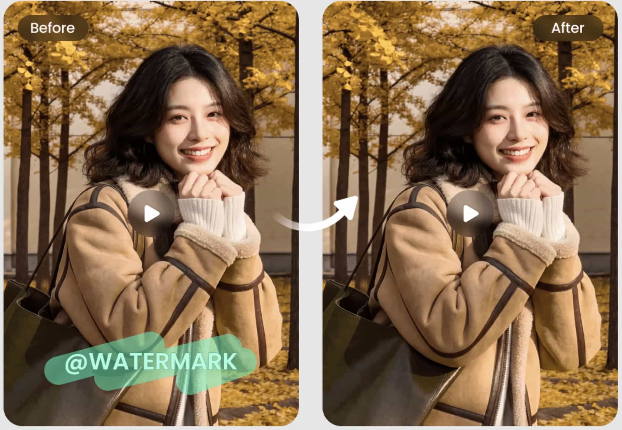 Test 2 - Moving watermark removal on Pixbim