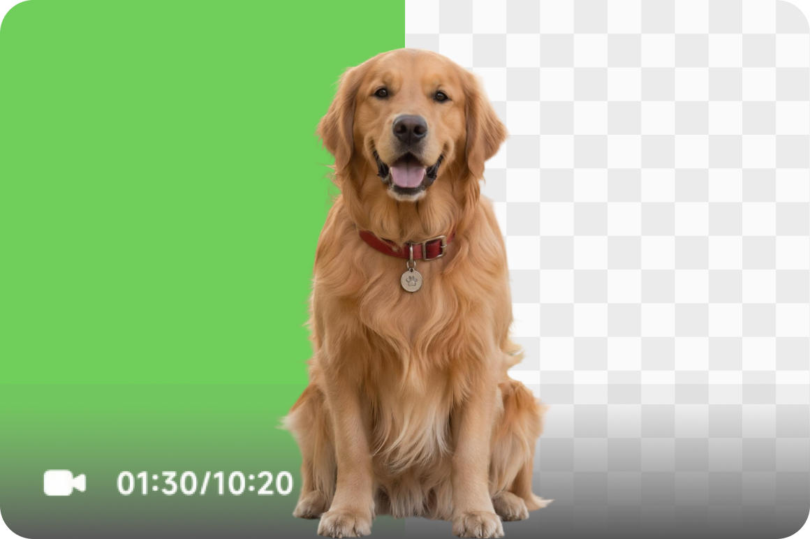 Two background output options