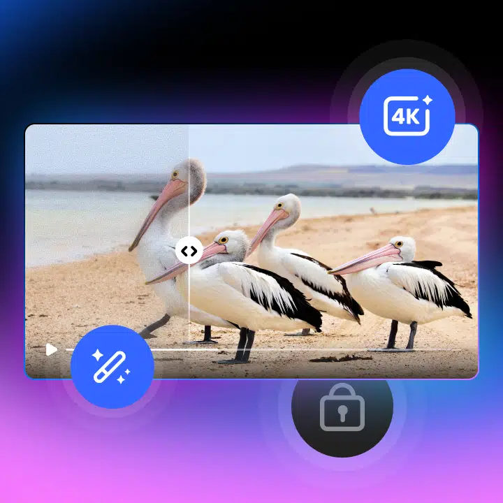 68c3d608431490913HJVeFfRNa7667