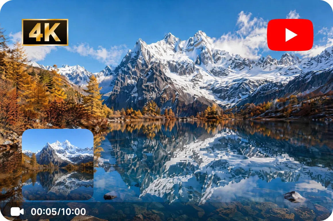 Export up to 4K resolution