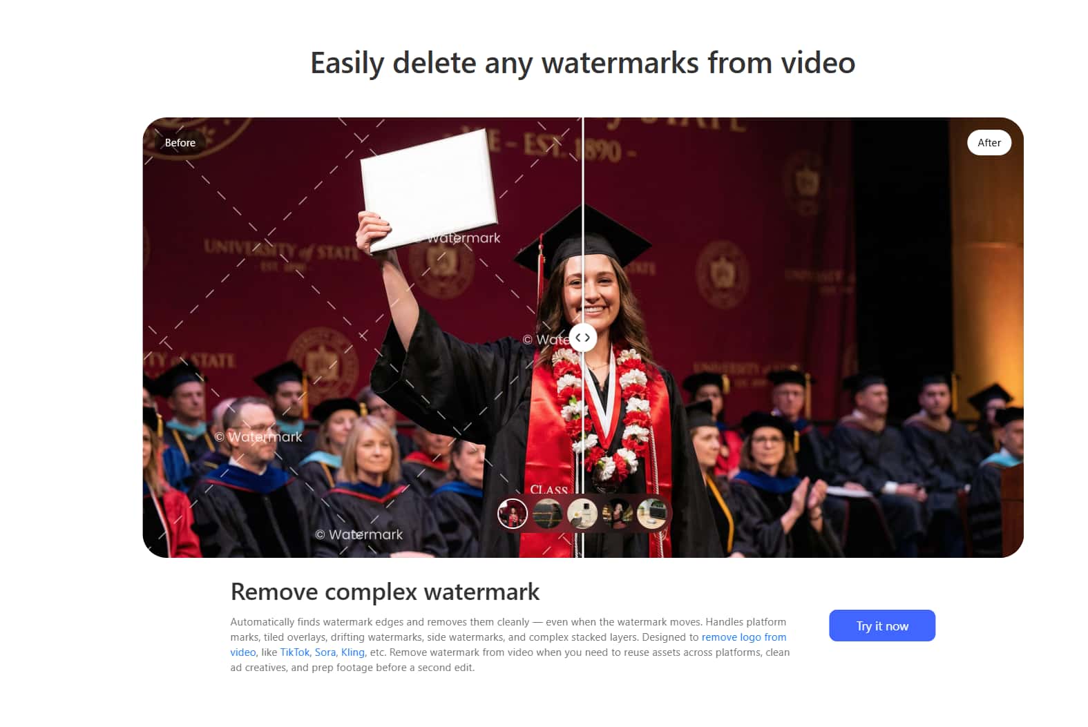 Vmake AI Watermark Remover