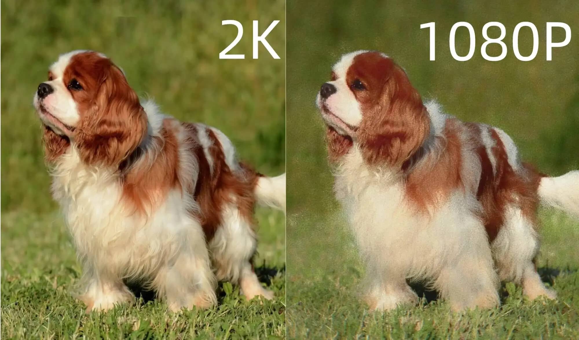 2K vs 1080p: Gaming and Content Creation