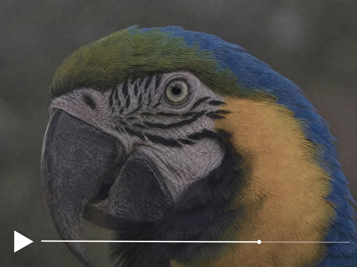 video color correction