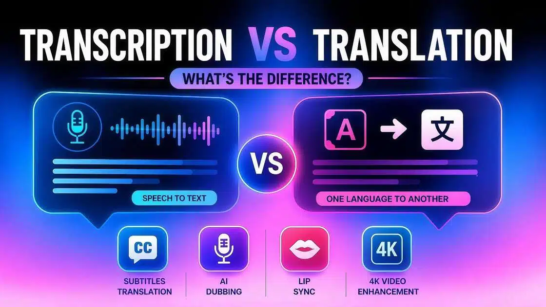 Transcription vs Translation: What's the Difference?