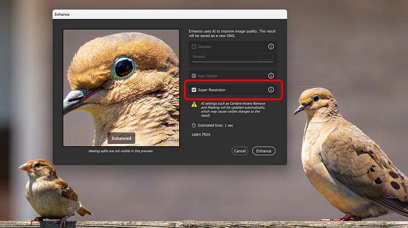 professional image enhancer