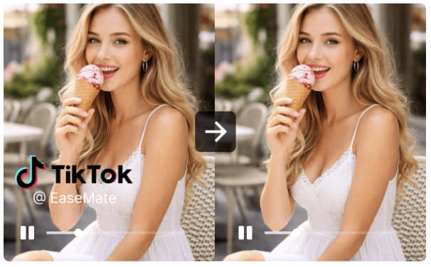 Test 1 - Static TikTok watermark removal on Pixbim