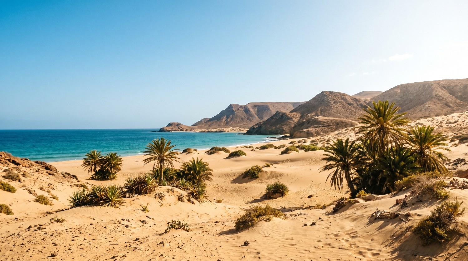 text Tropical coastal desert scene