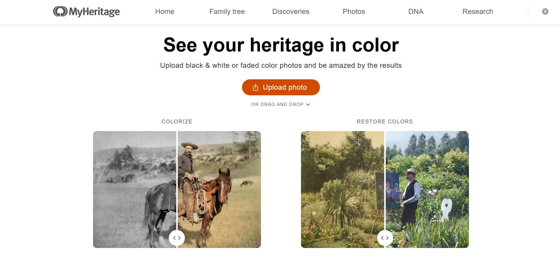 text Colorizer