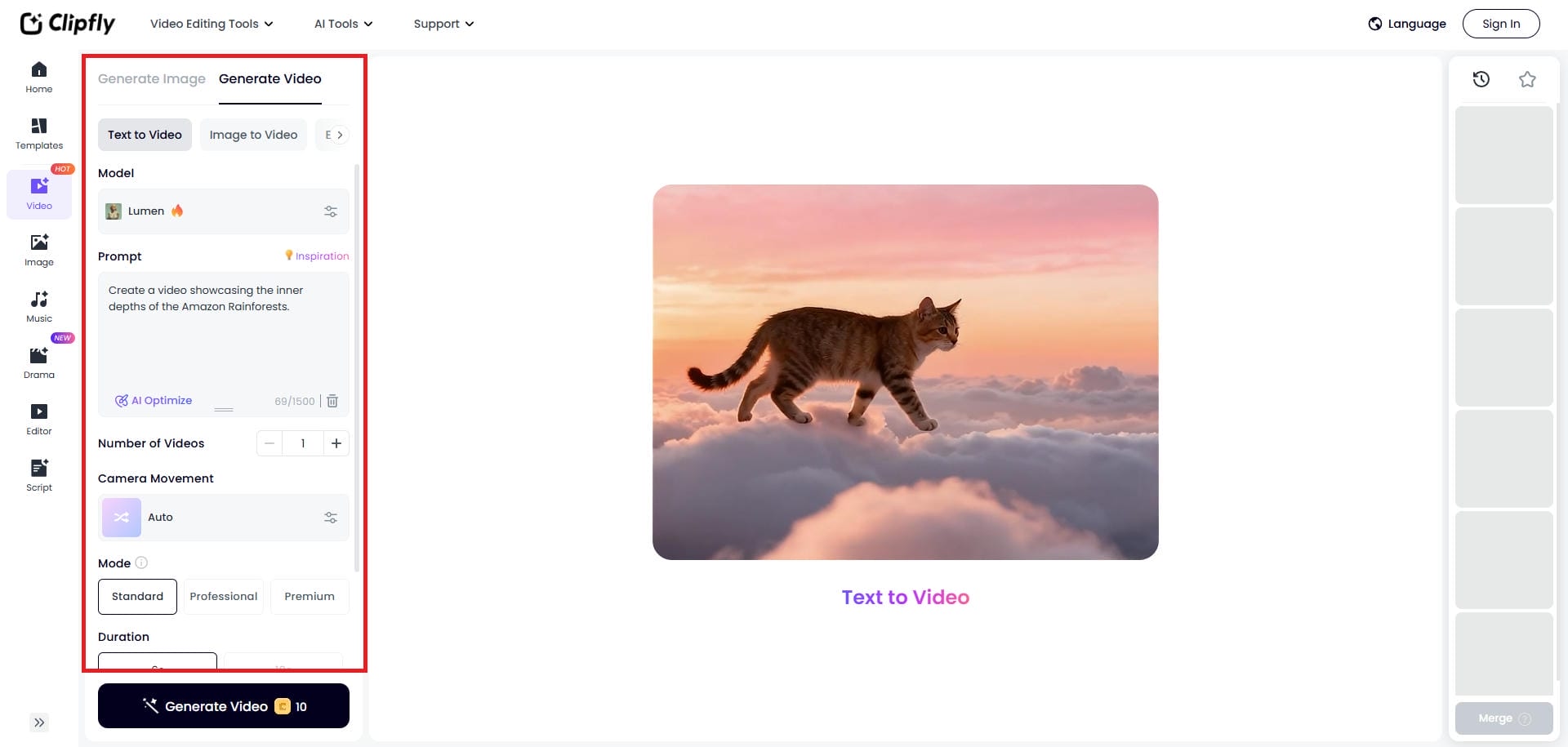 Enter your video generation prompt
