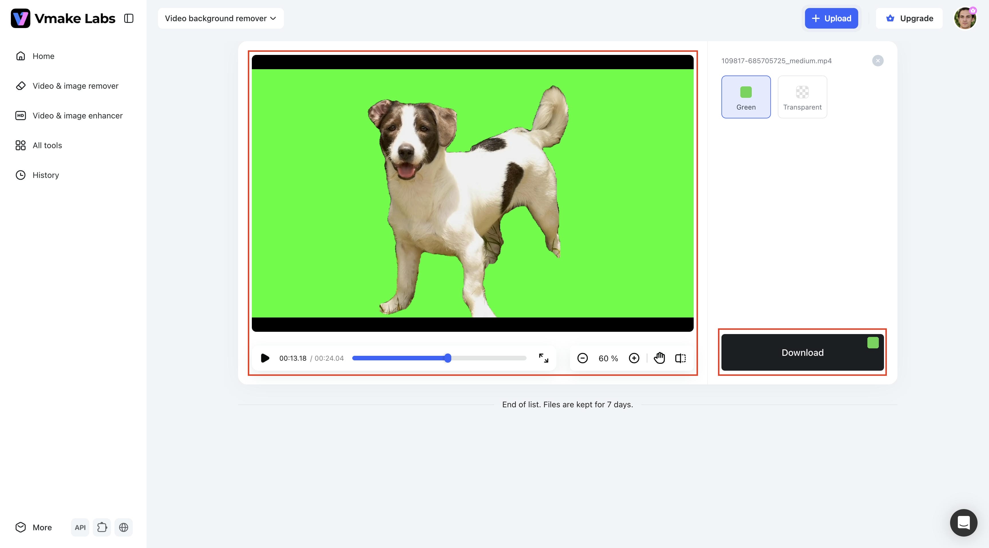 Preview and download your video