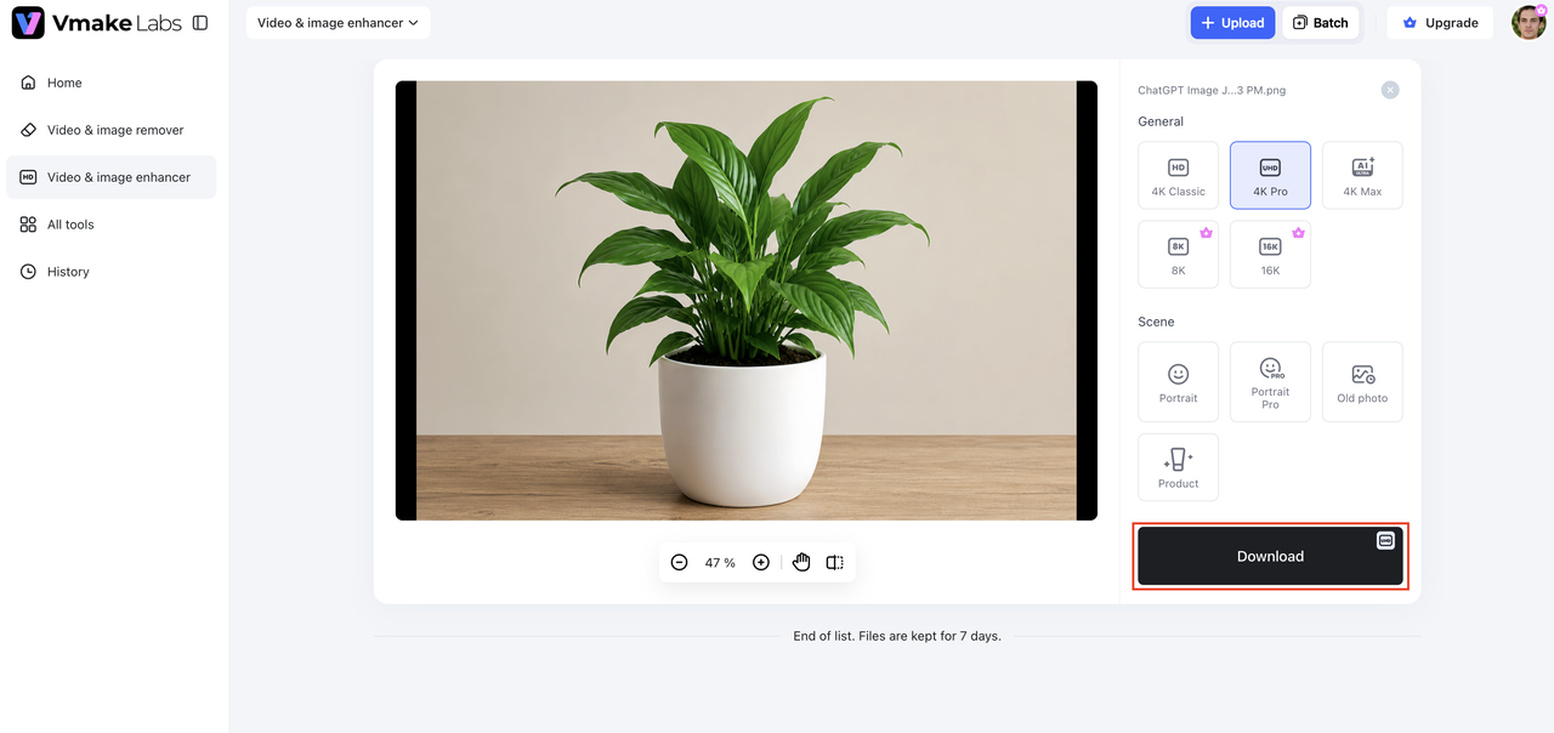 Preview and export 