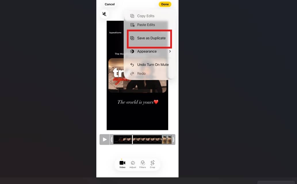 text save the silent video