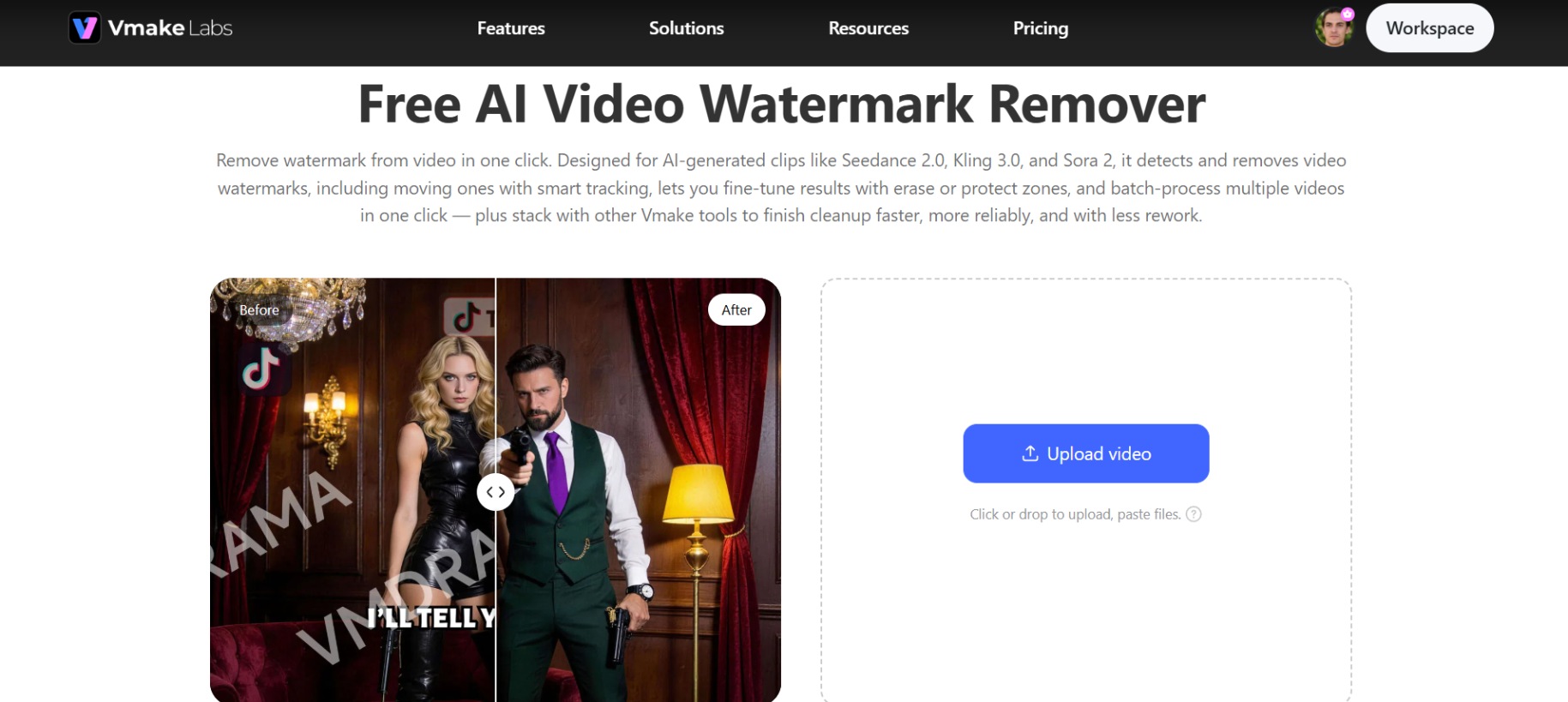 text Vmake Labs video watermark remover