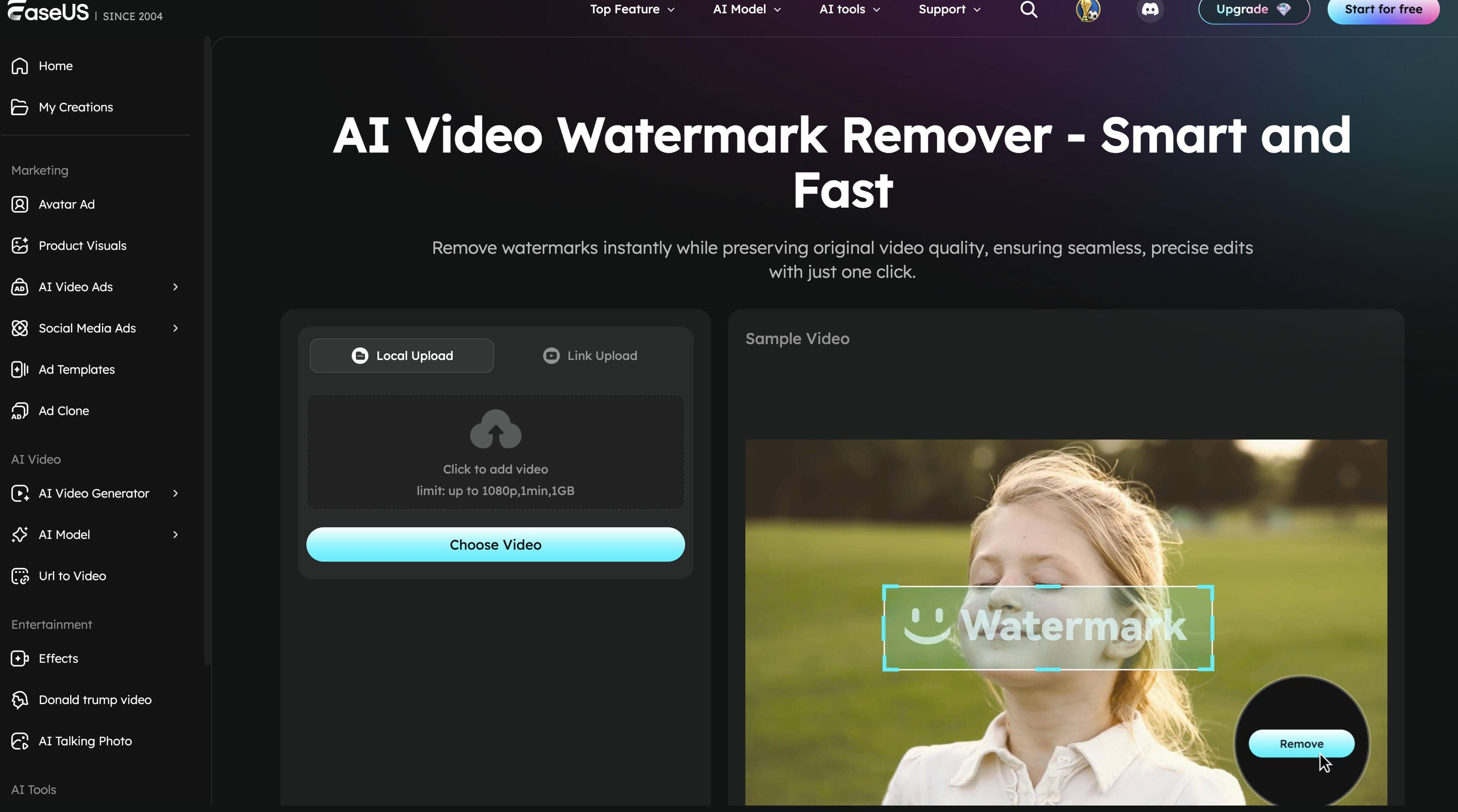 text EaseUS VideoKit