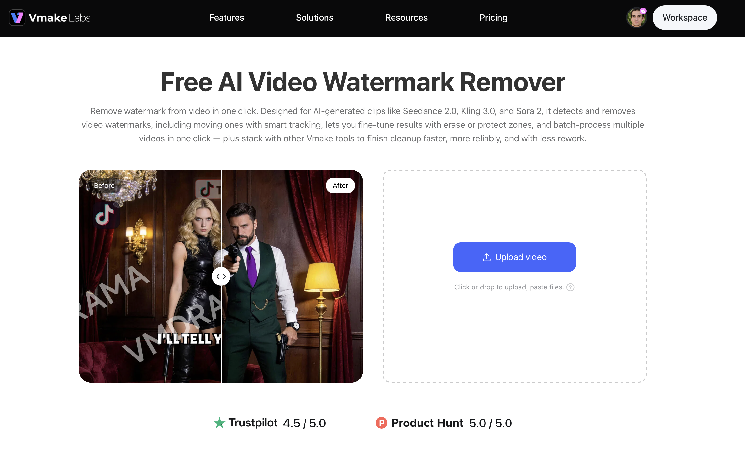  Vmake Labs Video Watermark Remover