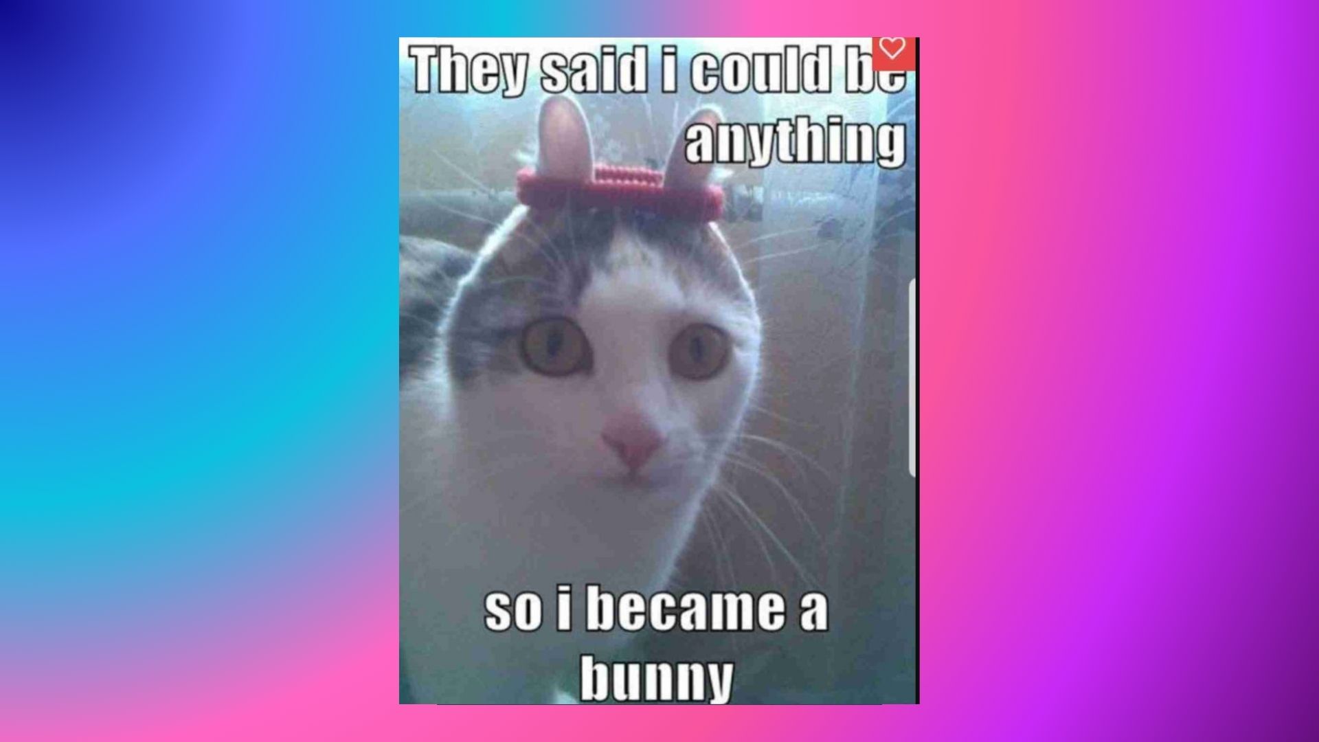 text 15. The DIY Easter Bunny