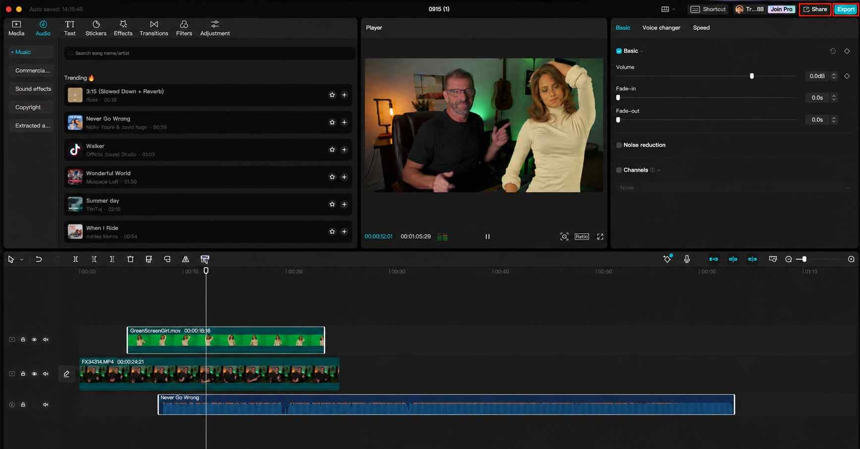 Preview and Export Video