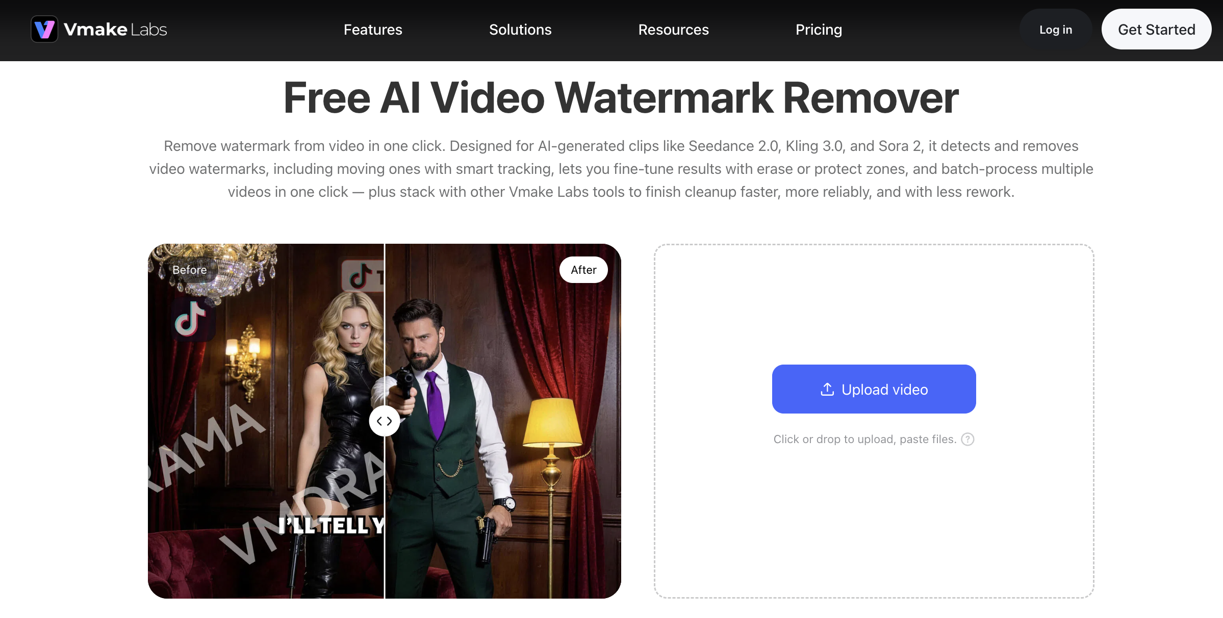 Vmake Labs Video Watermark Remover workflow.