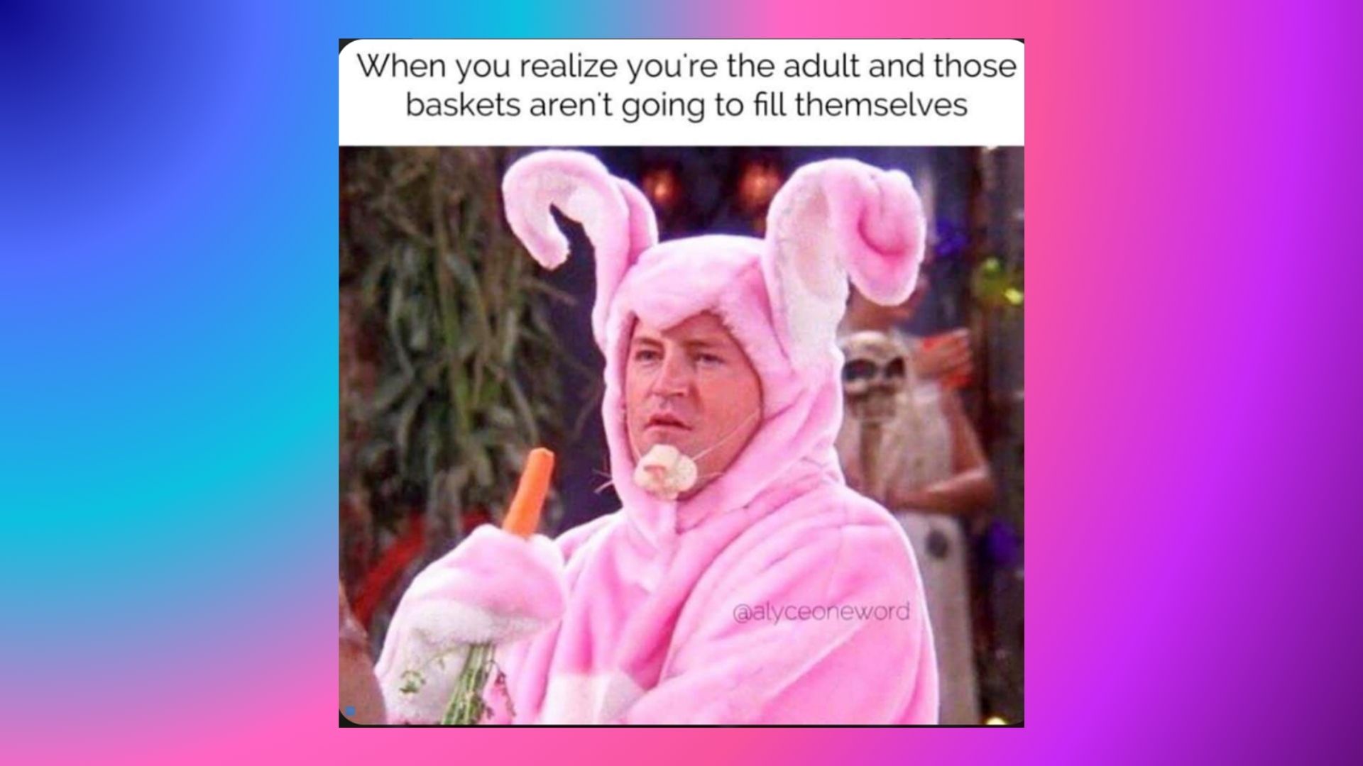 text 14. The Burden of the Bunny