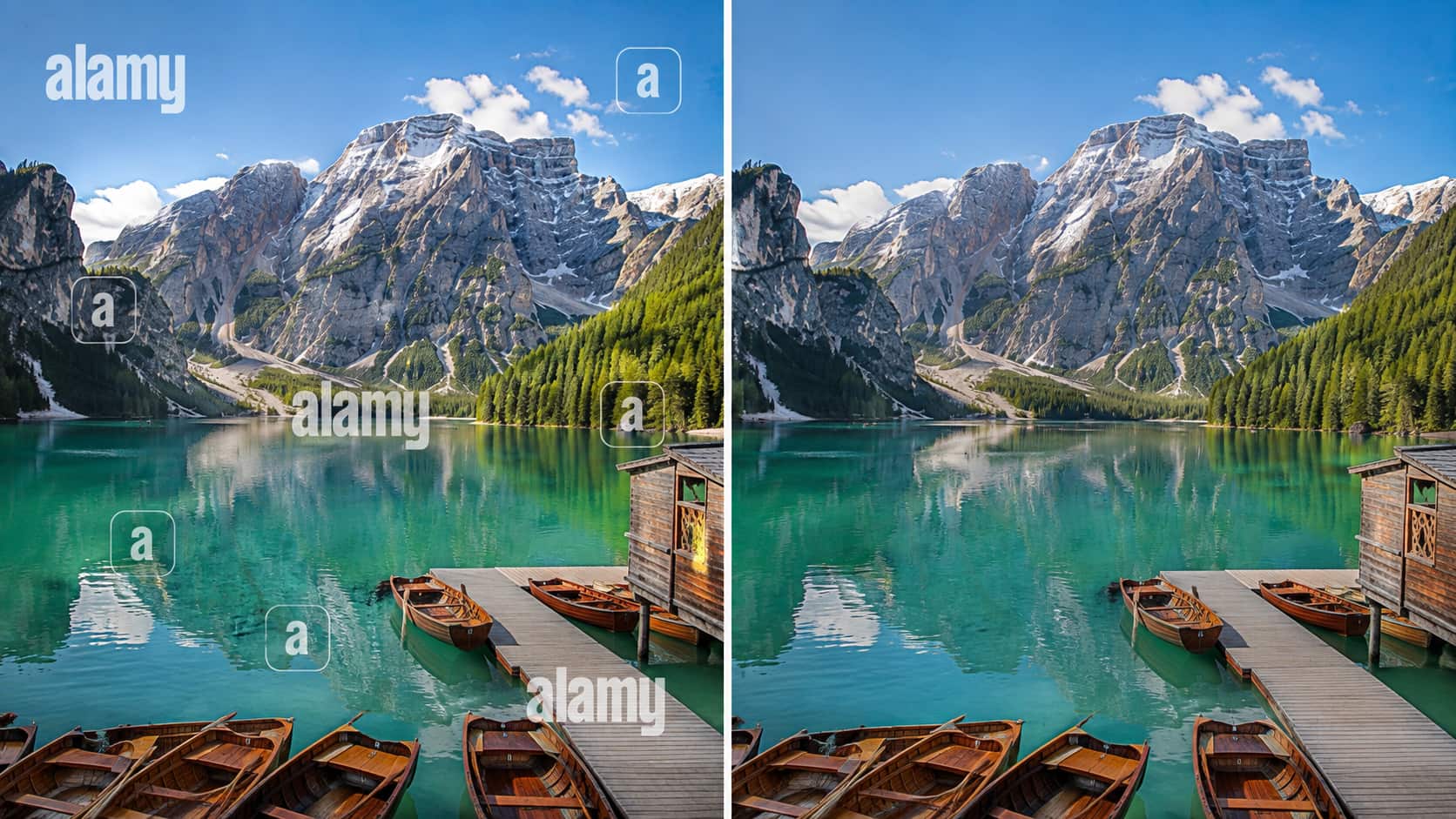 text Watermark Over a Detailed Background