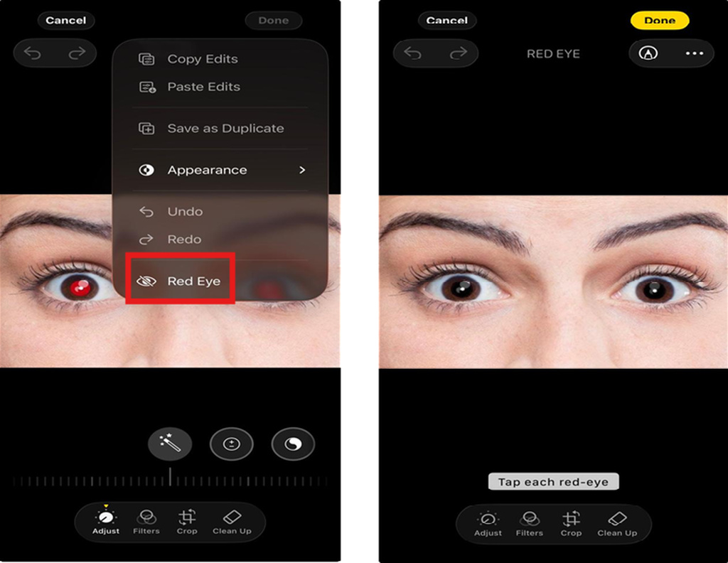 text Apply the Red Eye correction tool