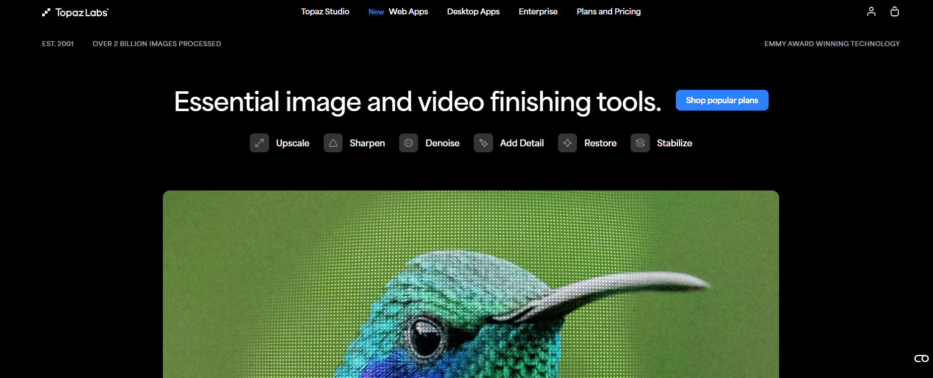 text Topaz Labs image enhancer