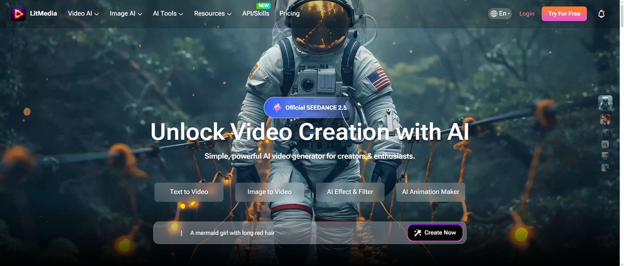 text Litvideo AI