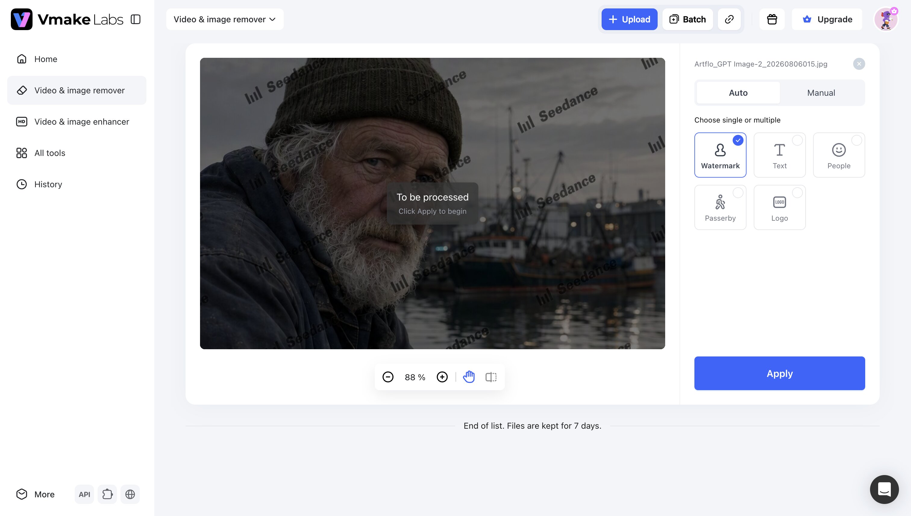 Vmake Labs Video Watermark Remover interface showing a Seedance-branded harbor portrait selected for automatic watermark removal.