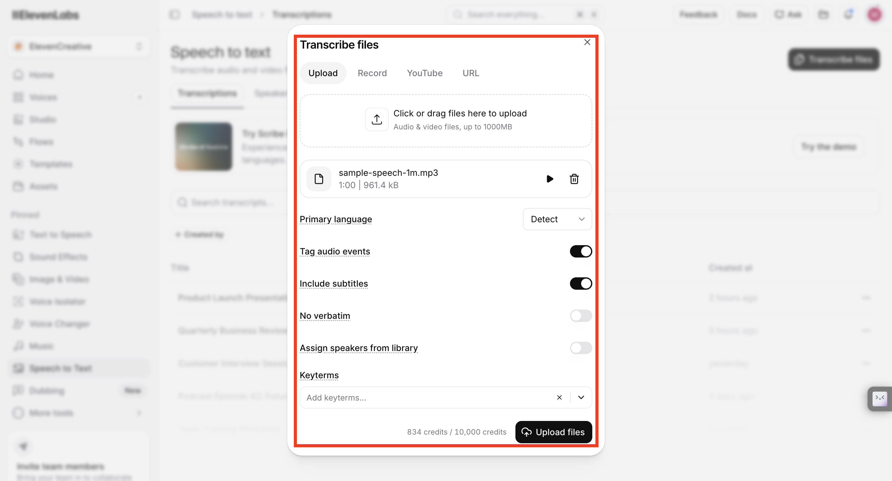 Transcription processing screen