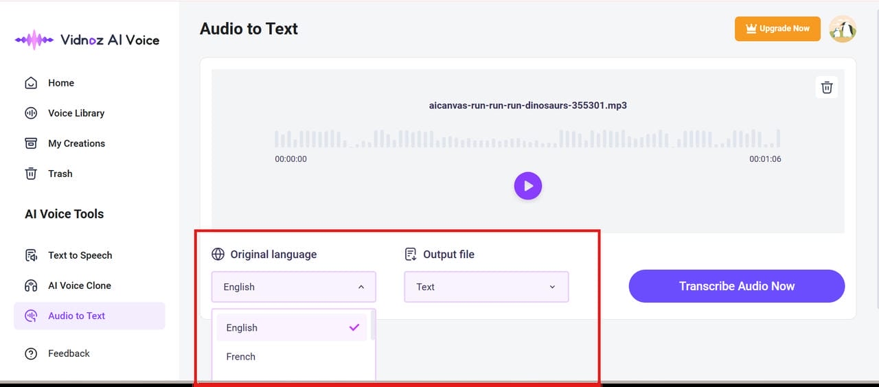 text Select the language and output file