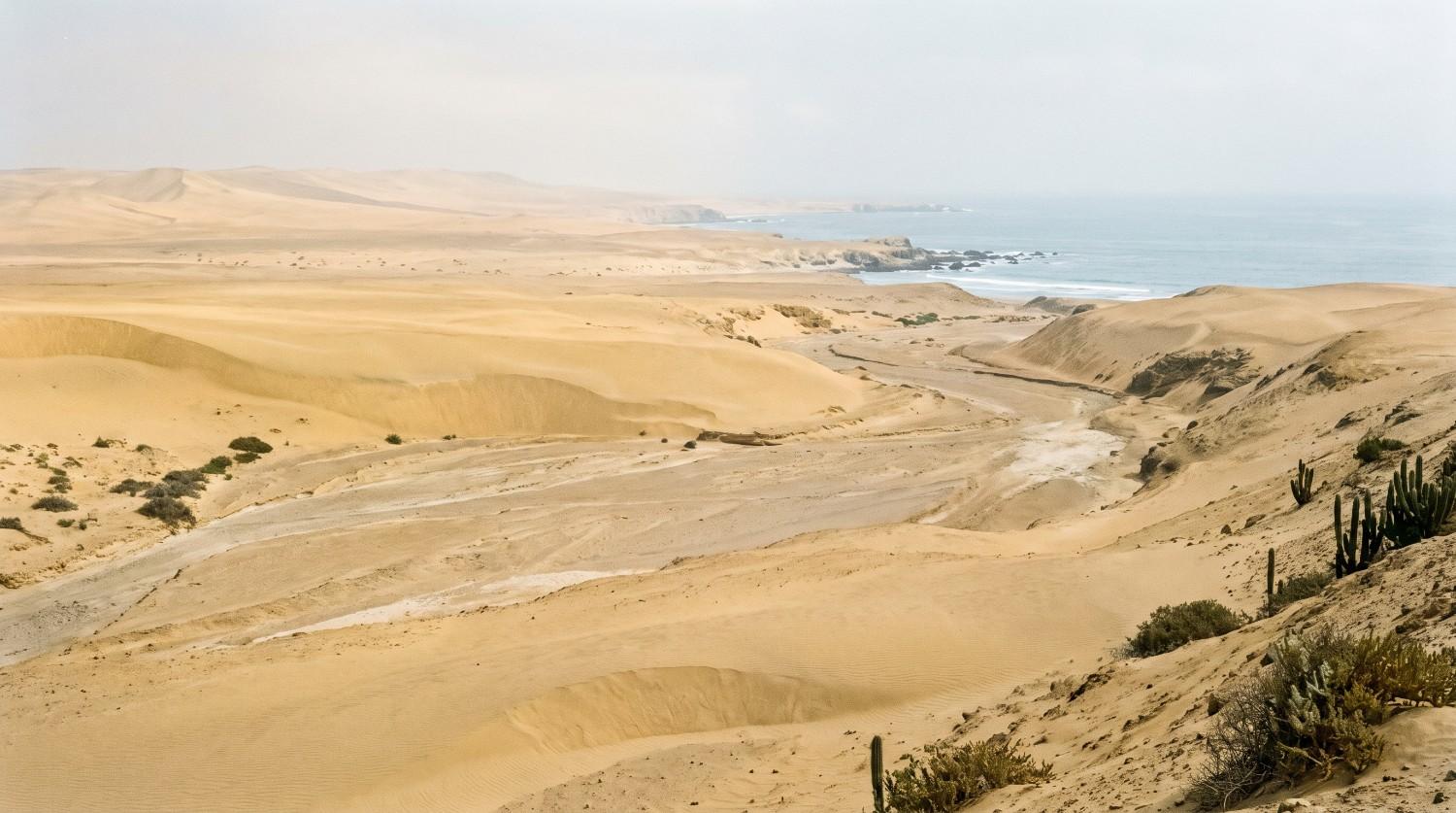 text Patagonian Coastal Desert