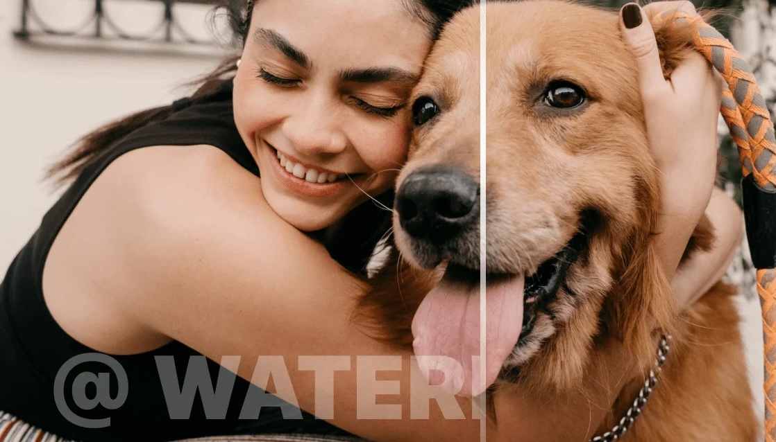 vmake watermark remover