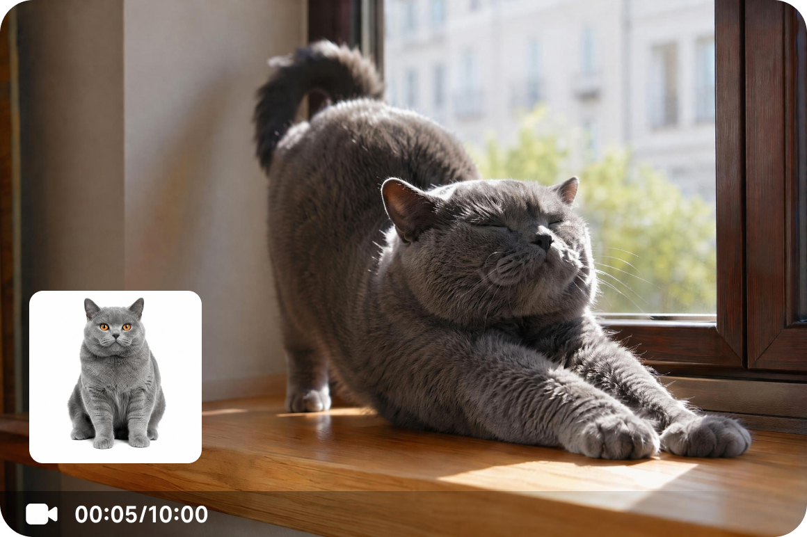 Turn cat photos into animated videos
