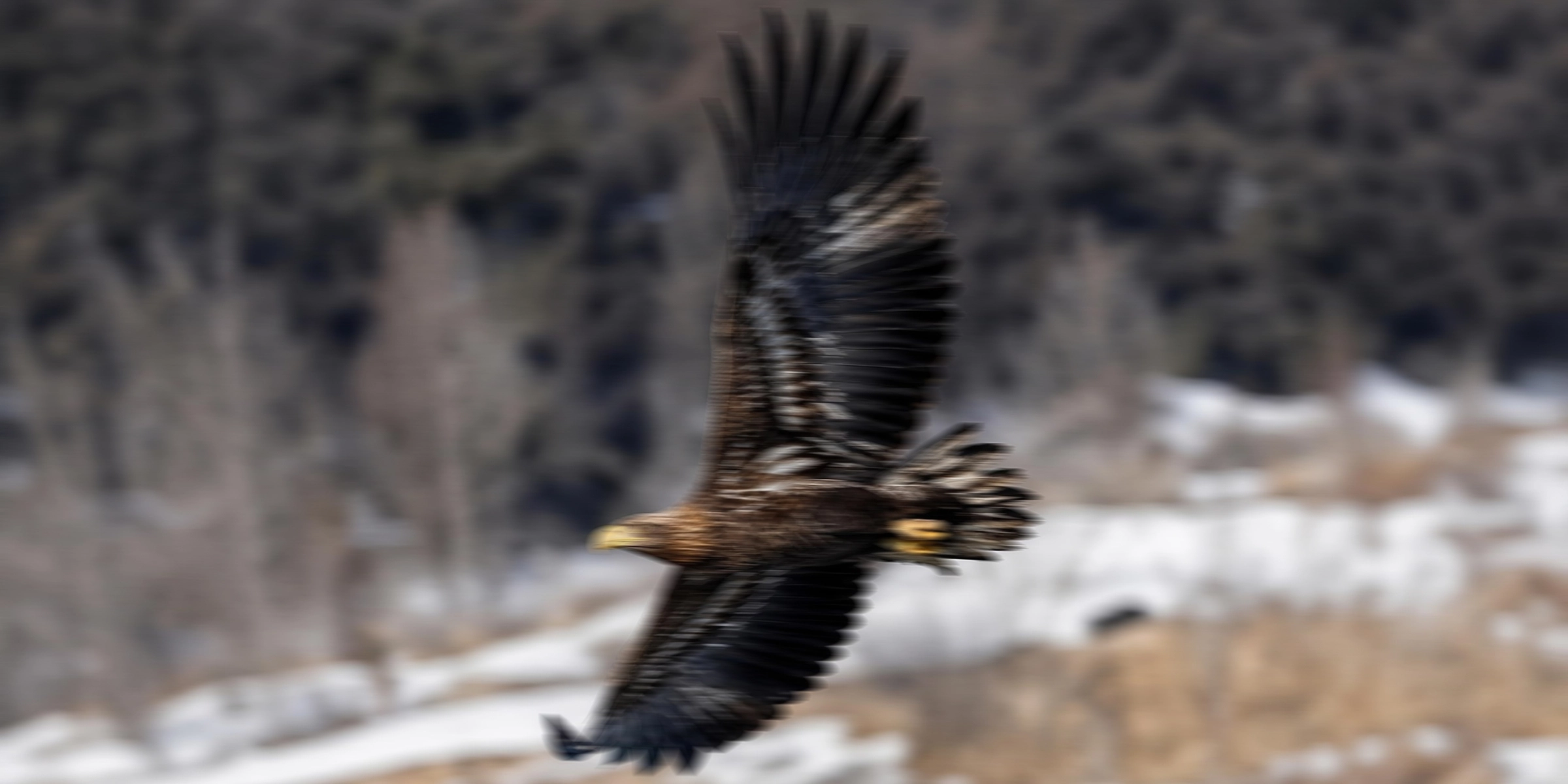 Steady zoomed-in footage more effectively