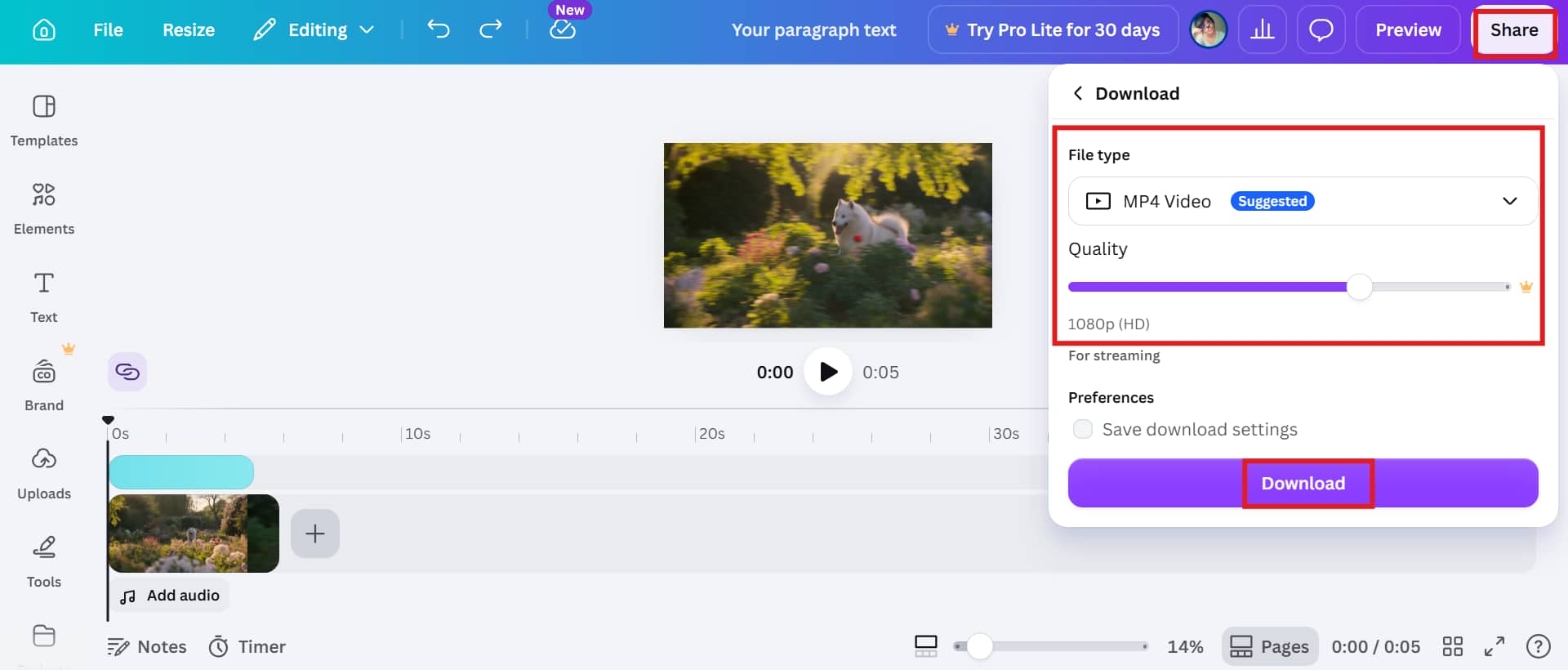 download the video