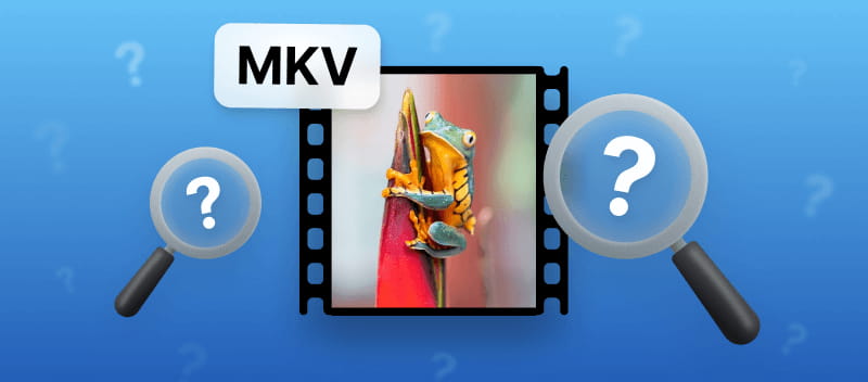 MKV format