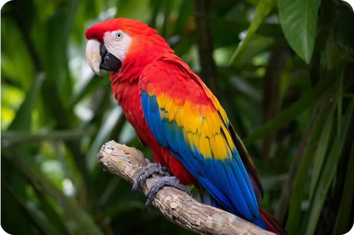 AI image resolution upscaler