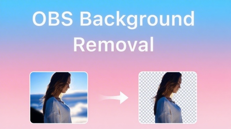 OBS Background Removal